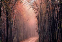 冠军奥运篇｜武桐桐：不浴火怎能涅槃.