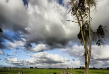 [排球]杨岭：正在广泛听取、征求业内人士意见.