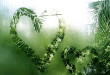 pg娱乐城：终于上场了！王霜第61分钟为武汉女足替补登场，此前两场未登场.