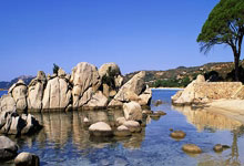 [中国女篮]中国女子三人篮球队获得亚洲杯季军.